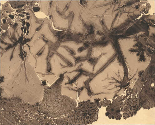 Тарханов Михаил Михайлович. Композиция